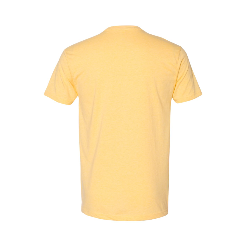 Next Level CVC V-Neck T-Shirt
